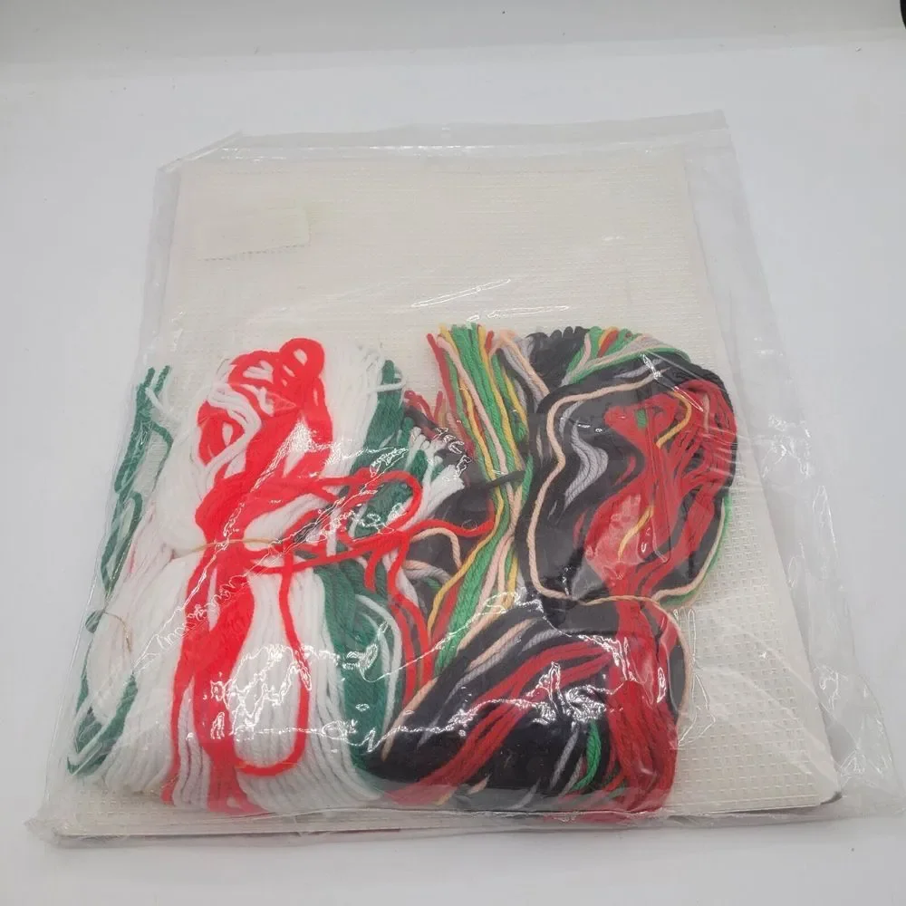 Vtg Janlynn Christmas Plastic Canvas 140-89 Santa Wall Hanging Kit Sealed‎ HGD